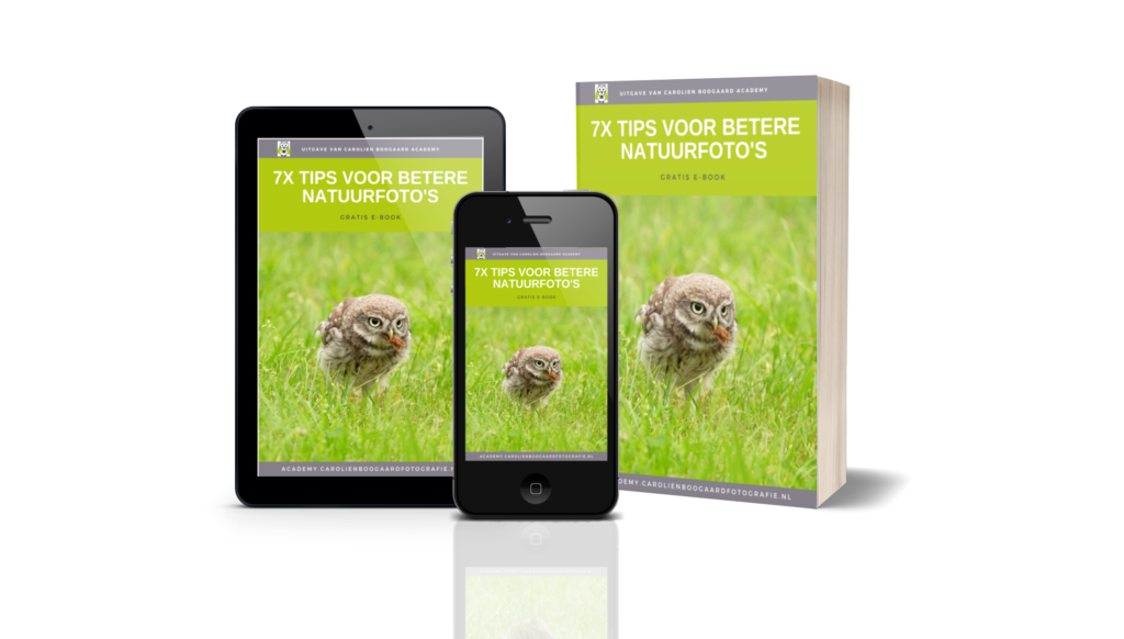 GRATIS ebook betere natuurfoto's maken
